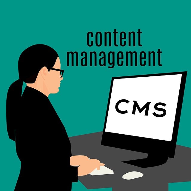 CMS MANAGER